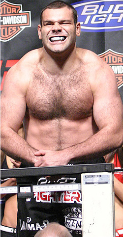 Gabriel Gonzaga UFC