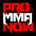 Pro MMA Now